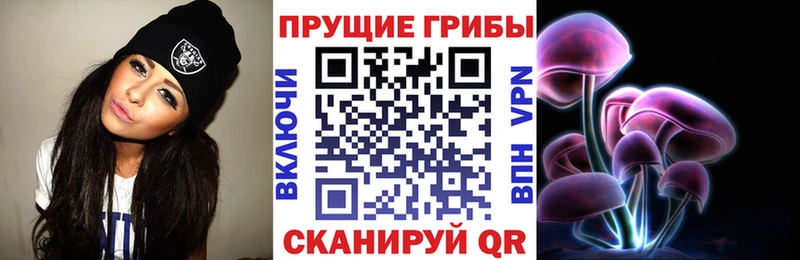 Псилоцибиновые грибы GOLDEN TEACHER  даркнет сайт  Омск 