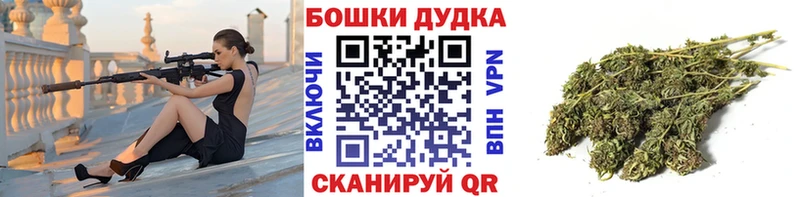 наркотики  Омск  Бошки Шишки сатива 